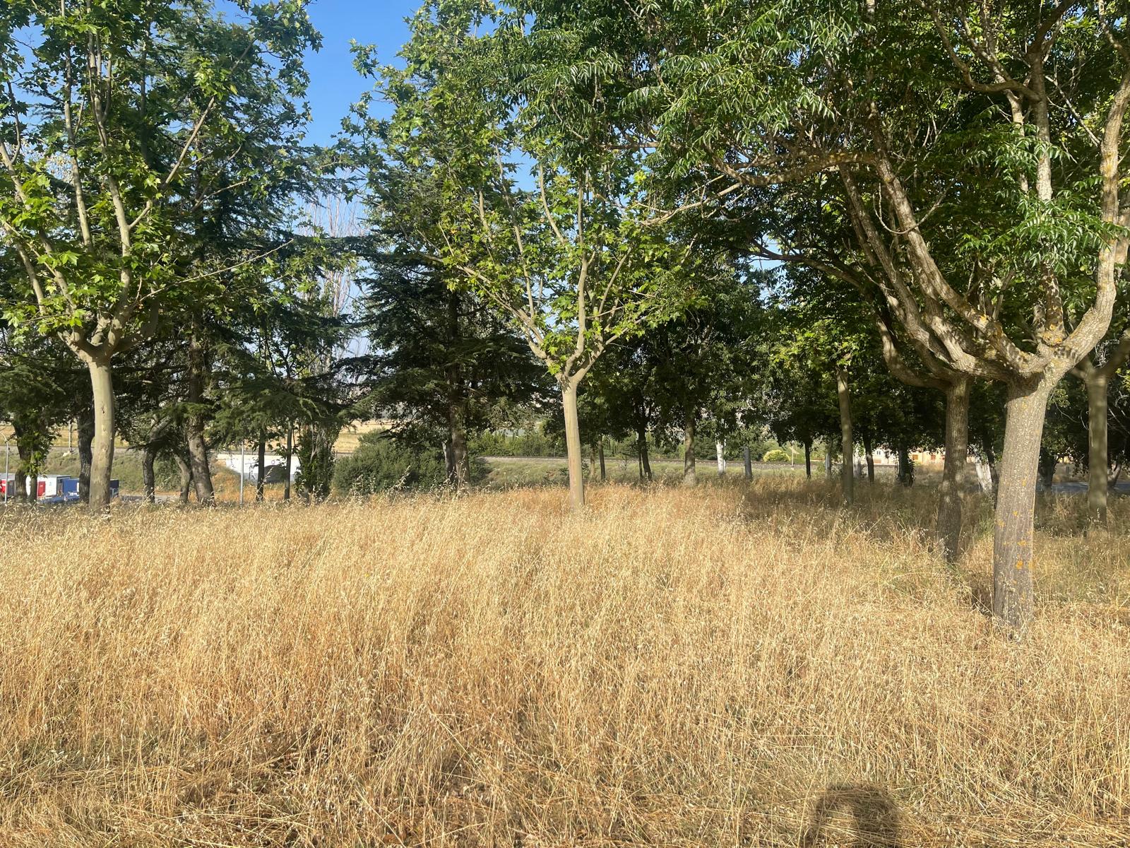MÁS ALLÁ DE LA HOGUERA DE SAN JUANl
