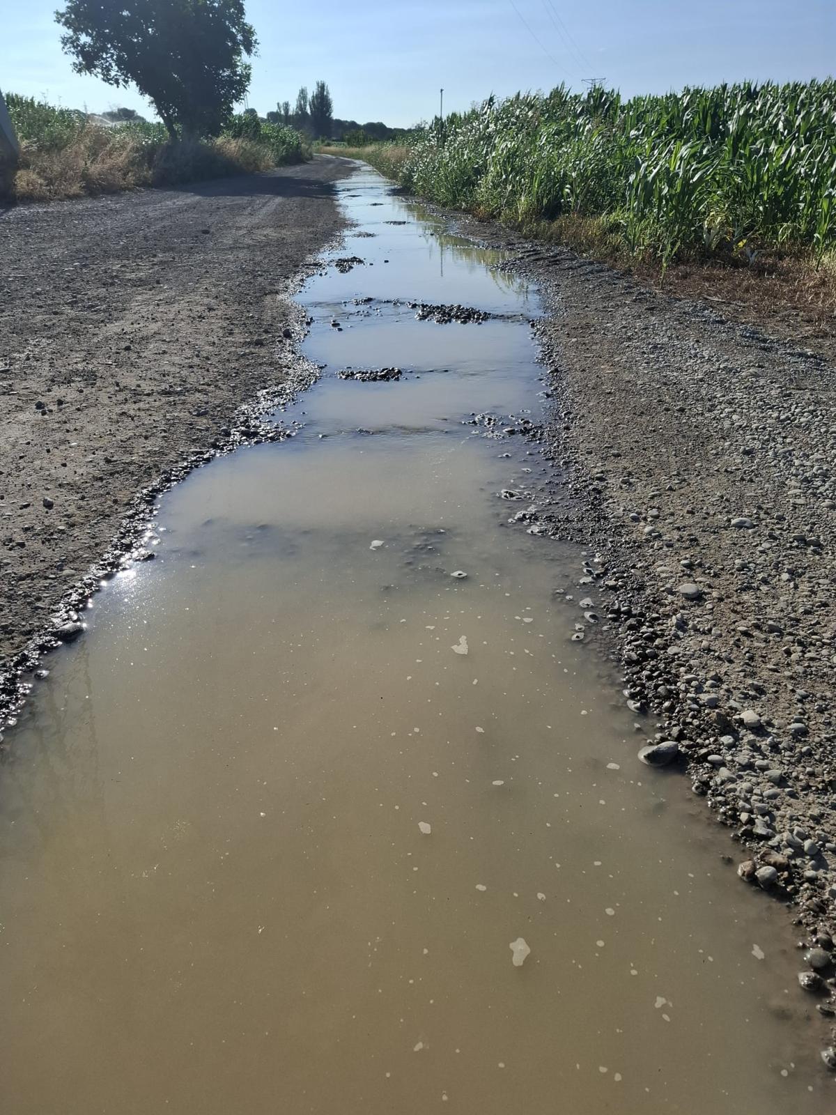 Crónica de una ducha a traición