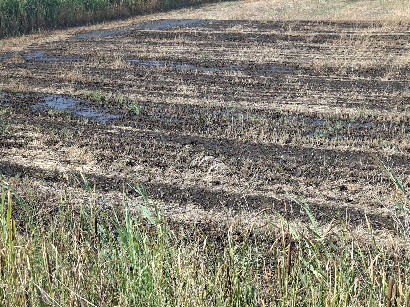 Sobre los vertidos en los campos del entorno vecinal
