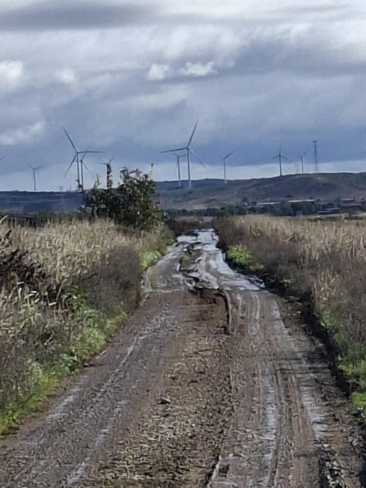 MAS QUE HARTOS, HASTA LOS CATAPLINES