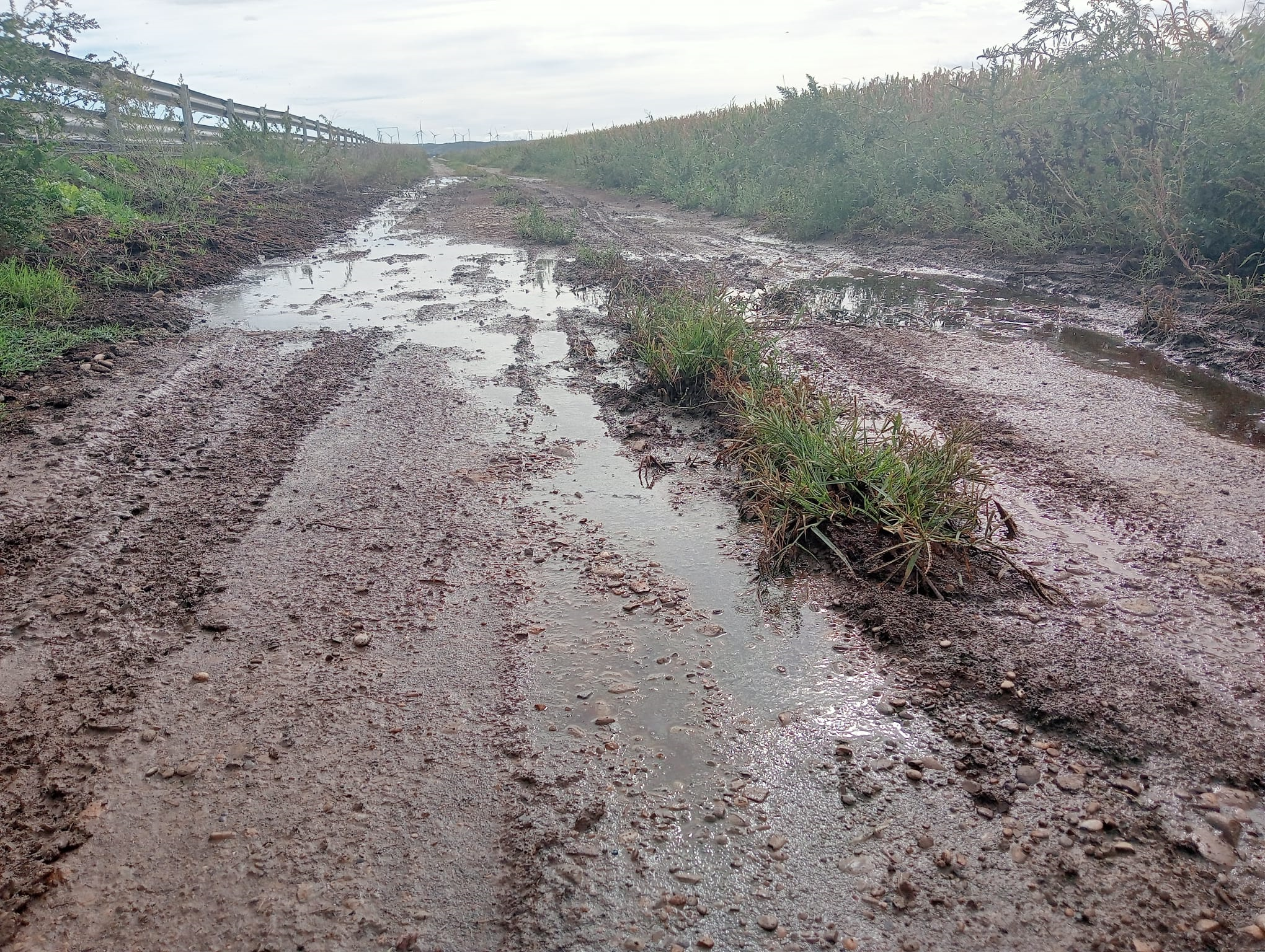 Un camino contaminado