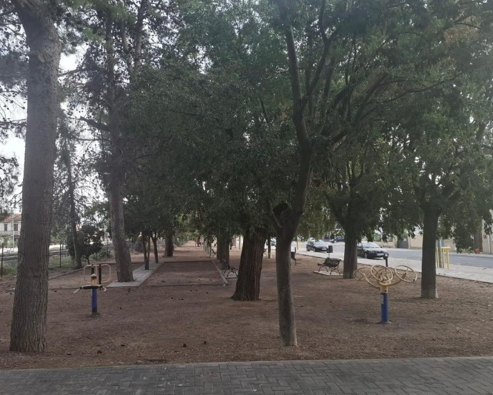 ¿QUÉ PASA CON LOS ÁRBOLES DEL PARQUE?